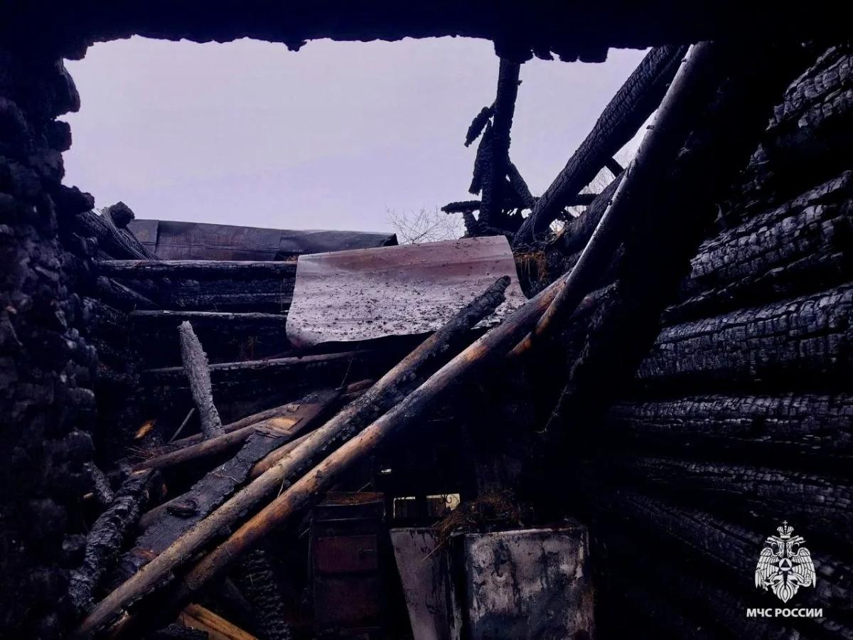 К пожару с погибшими в поселке Калашниково привело неосторожное курение Фото: МЧС Тверской области