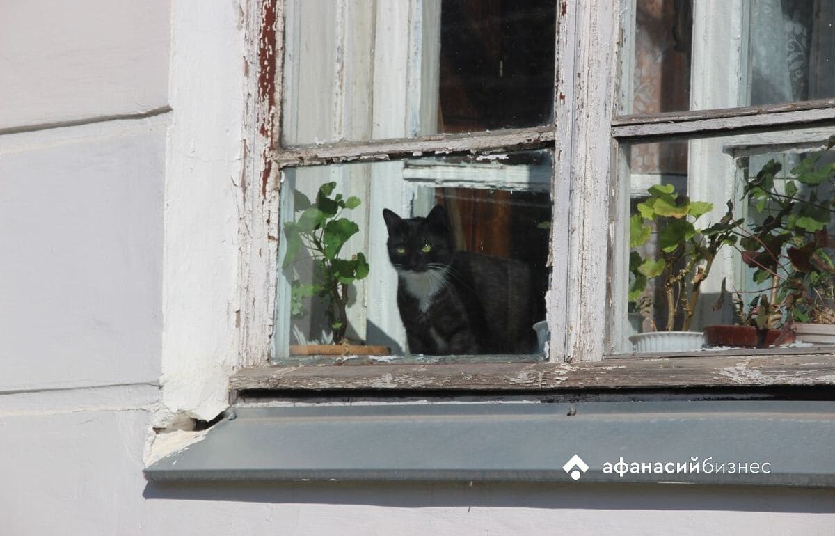 Азорский антициклон принес летнее тепло в Тверь 