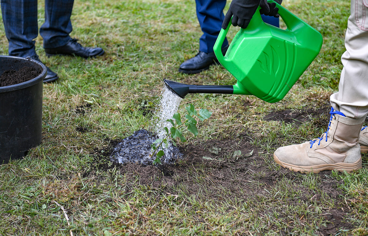 Верхневолжье принимает активное участие в международной акции «Сад памяти» - новости Афанасий