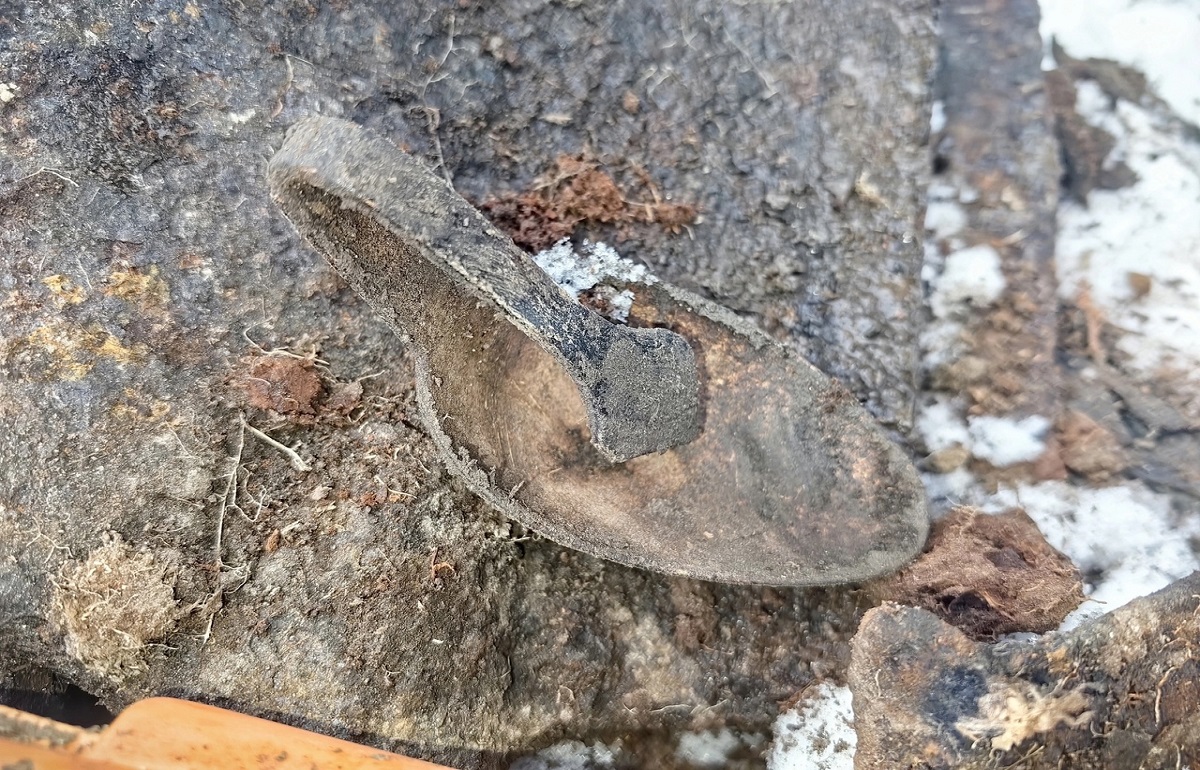 В Оленинском районе подняли останки трех красноармейцев Фото: Александр Гоздинский, п/о «Орел» (пгт Оленино)