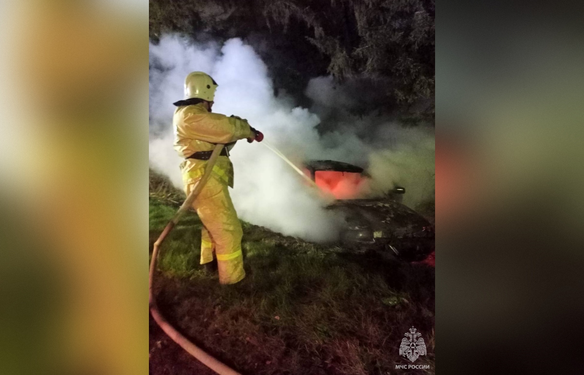 На трассе в Тверской области сгорела легковушка Фото: МЧС Тверской области