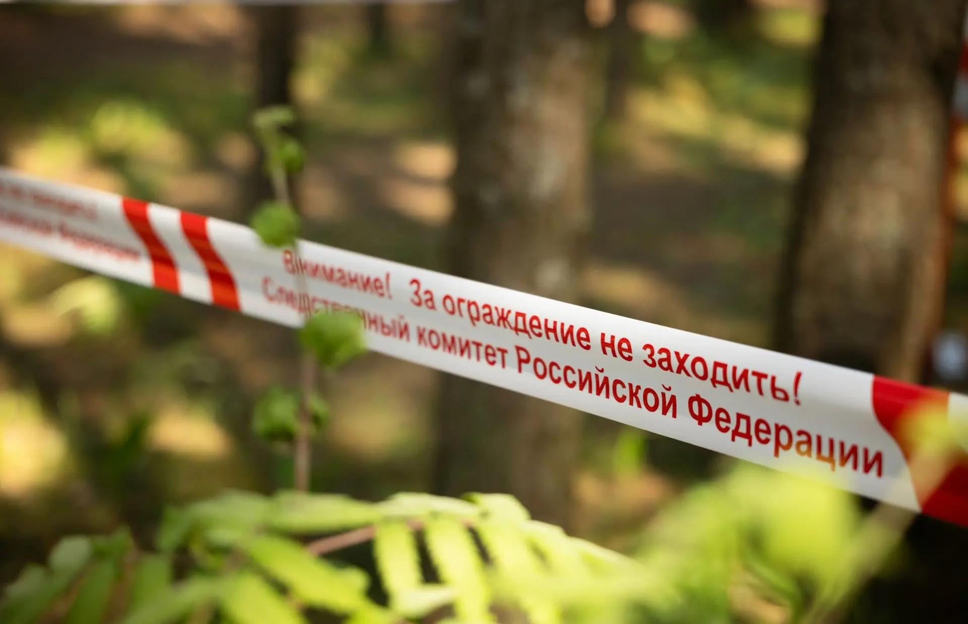 Под Конаково в Тверской области из-за упавшего на палатку дерева погиб ребенок Фото: СУ СК РФ по Тверской области