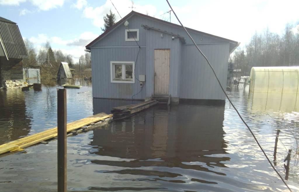 Вода прибывает в СНТ под Тверью, где люди живут постоянно 