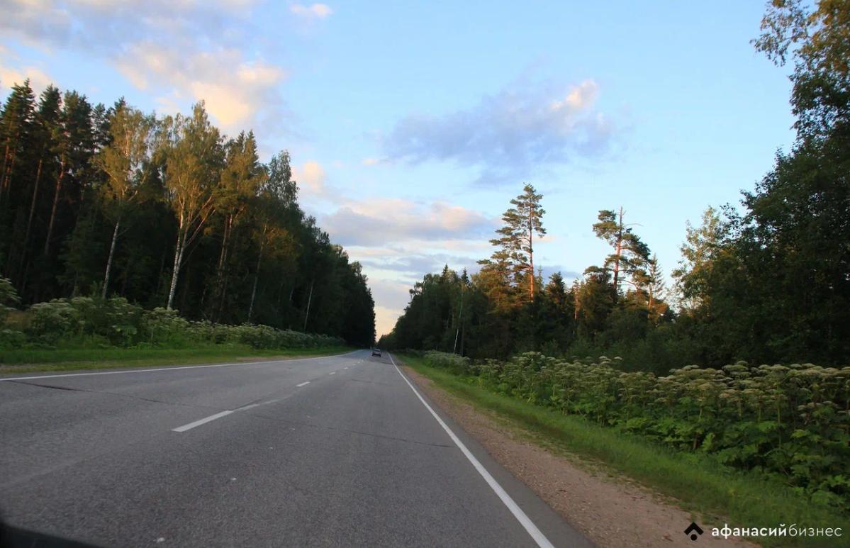 В селе Тверской области сын до смерти забил отца и выбросил труп на обочину - новости Афанасий