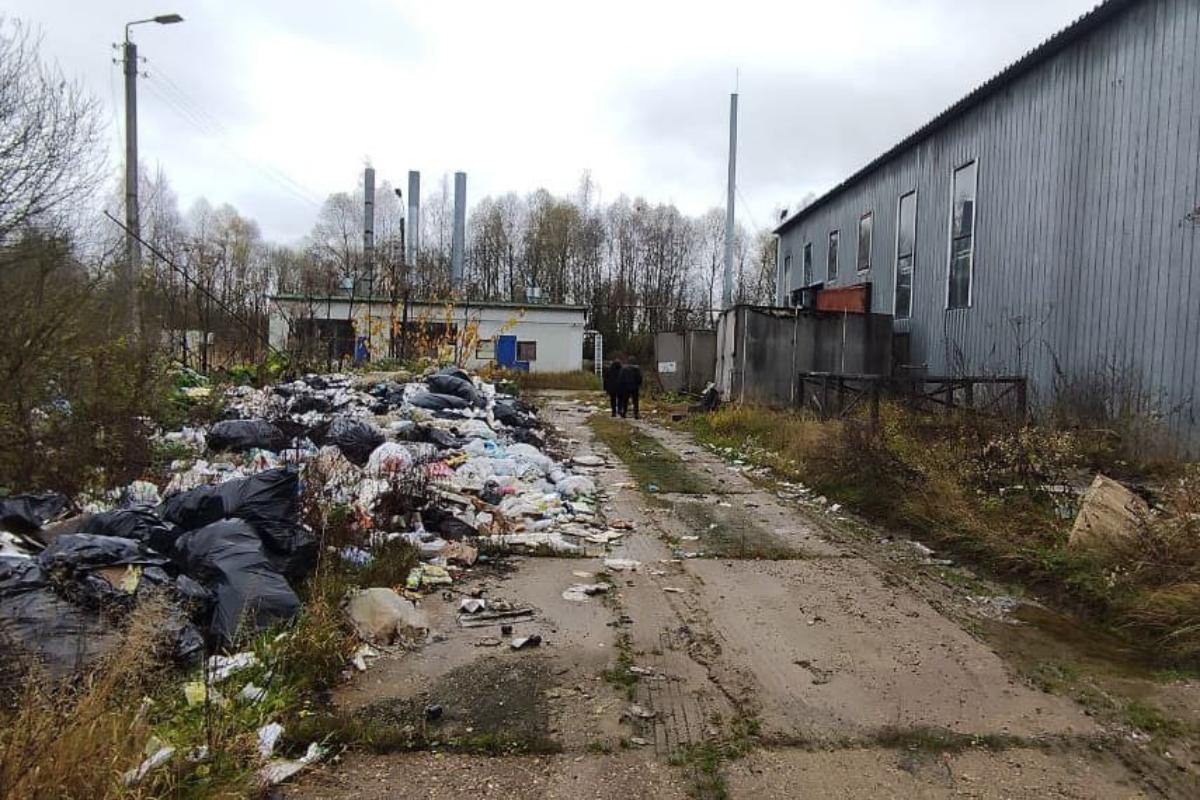 Завод, поставлявший «молочку» в Тверскую область, закрыли из-за нарушений Фото: Россельхознадзор Брянск, Смоленск и Калуга