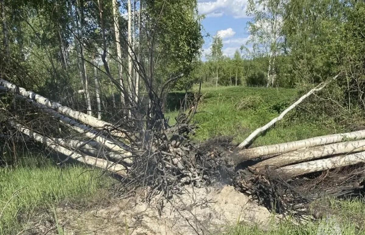 В Тверской области ликвидировали тление торфа - новости Афанасий