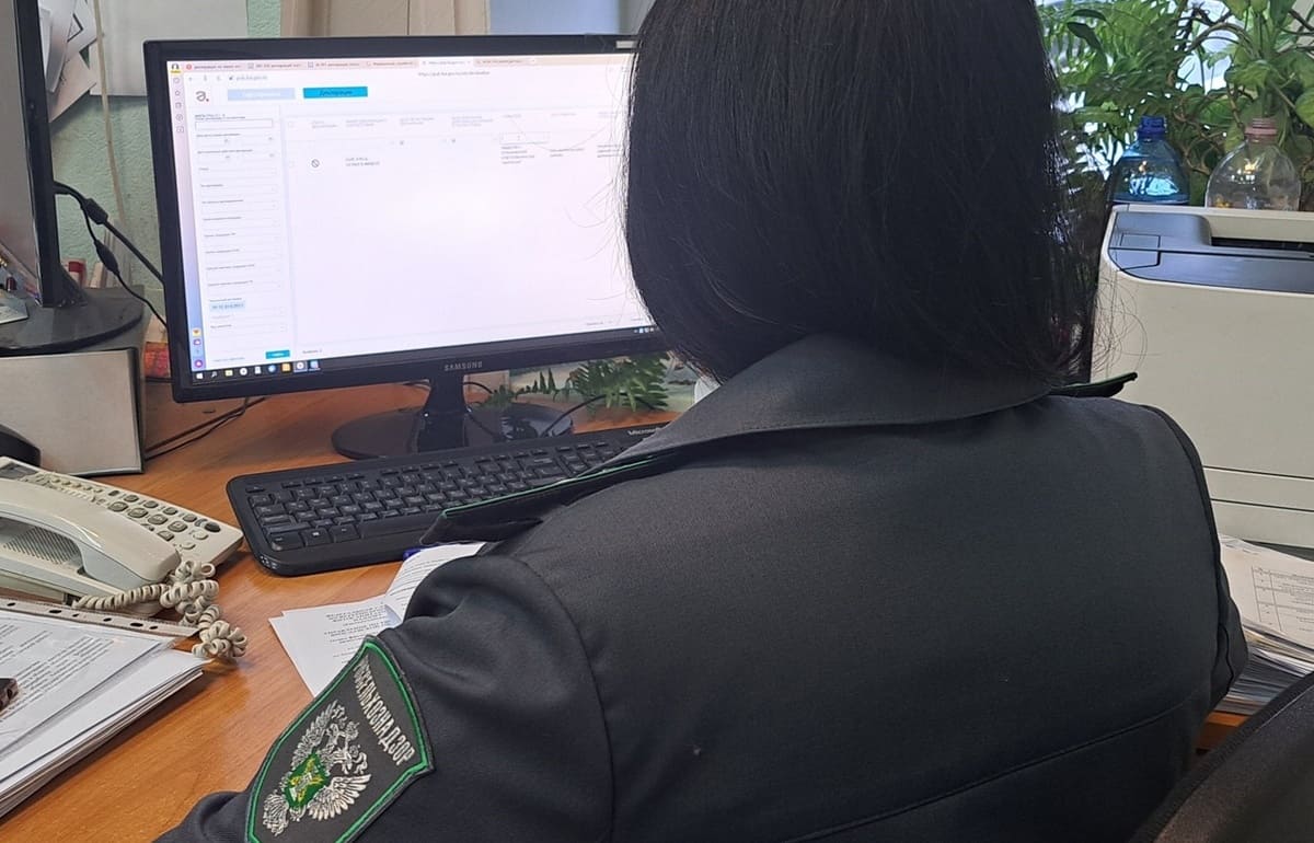 В 2025 году выданы 227 предостережений из-за нарушений земельного кодекса - новости Афанасий