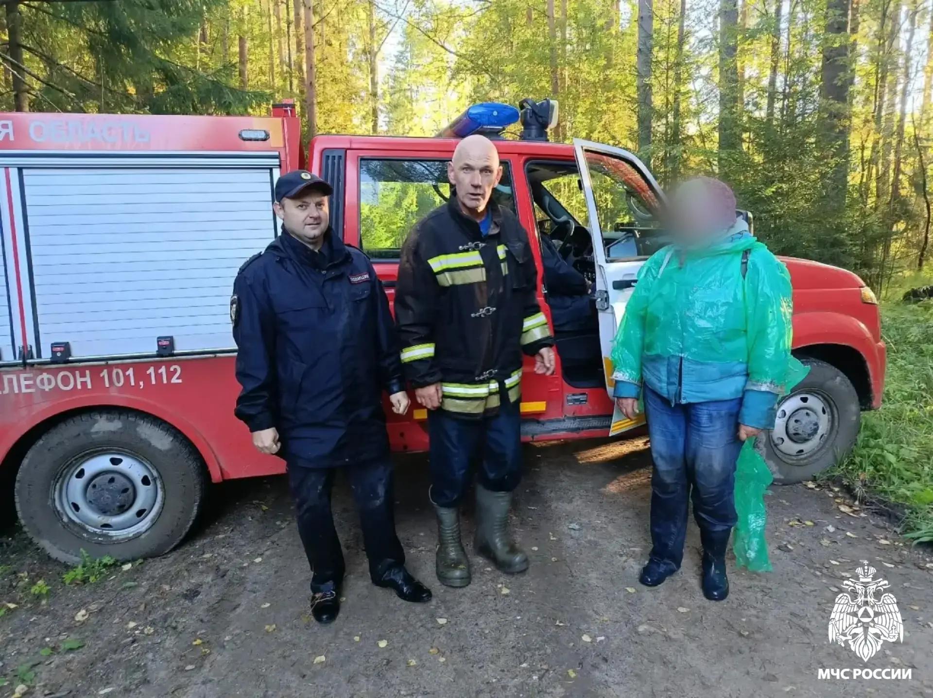 Ночью под Спирово в Тверской области в лесу спасатели искали женщину Фото: ГУ МЧС России по Тверской области