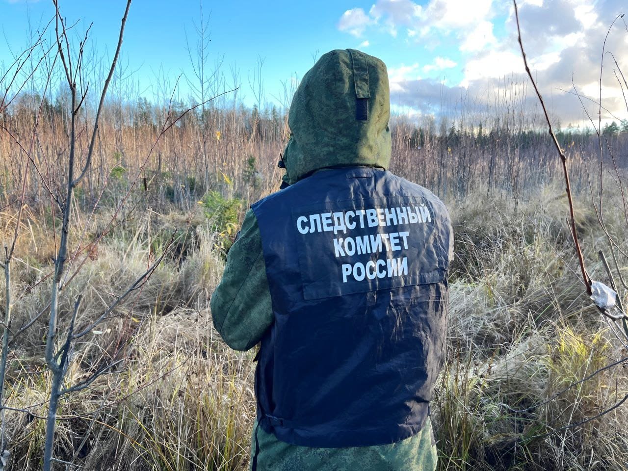 Под Осташковом нашли скелет человека, следователи проводят проверку  Фото:  СУ СК  РФ по Тверской области
