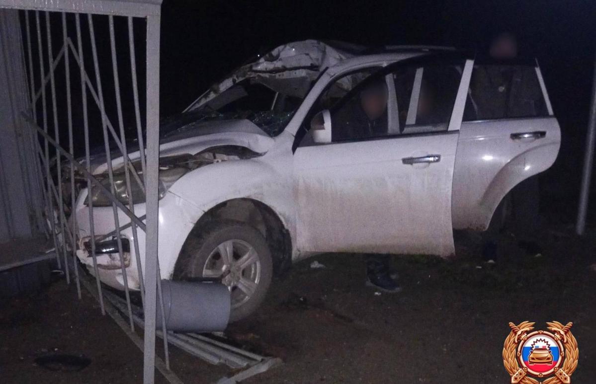 На «Золотом кольце» в Тверской области машина сбила лося и врезалась в остановку - новости Афанасий