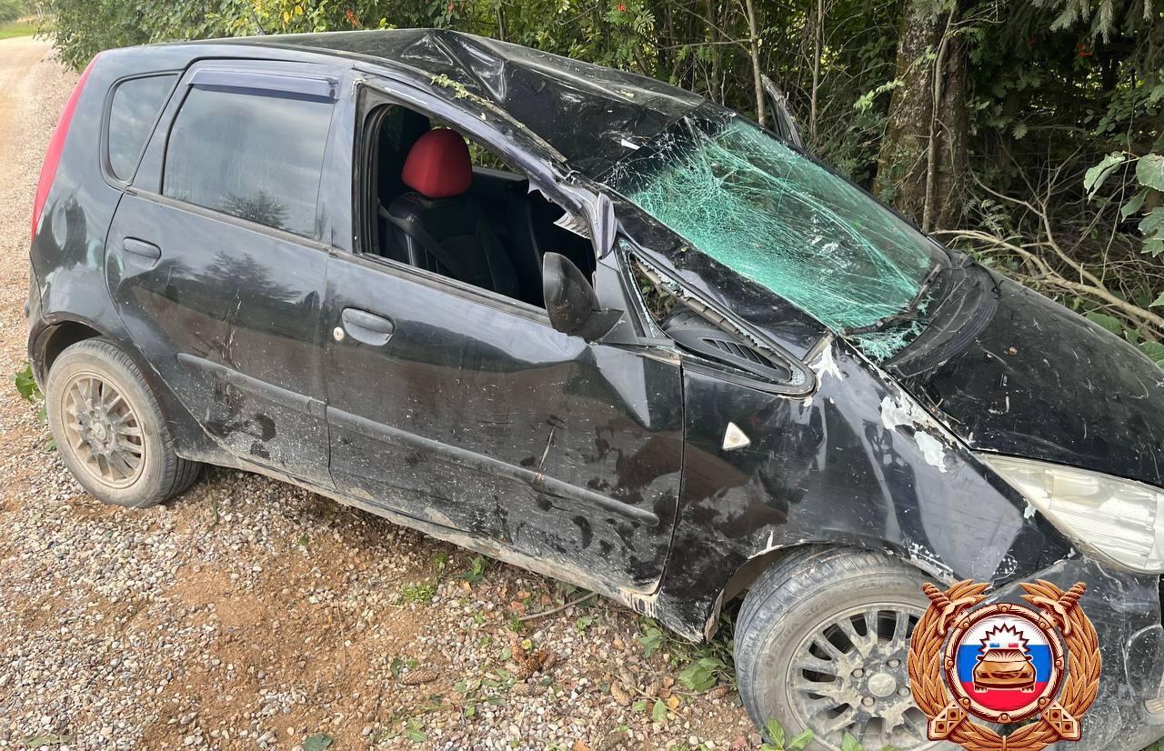 Пассажирка пострадала в ДТП под Торжком  - новости Афанасий