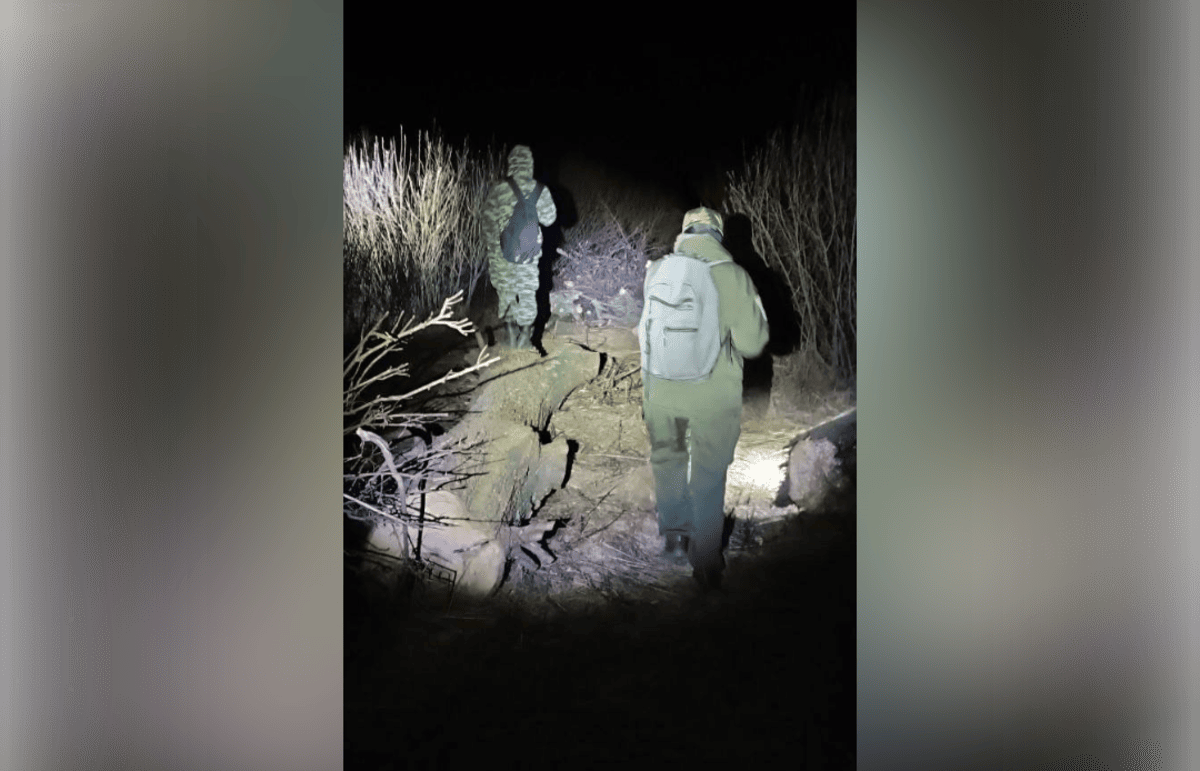 Из леса под Тверью спасли мужчин, утопивших квадроциклы в болоте Фото: ВПСО "Сова"