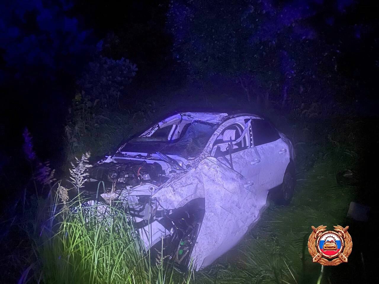 Два человека пострадали в ДТП в Андреапольском районе Фото: Госавтоинспекция Тверской области