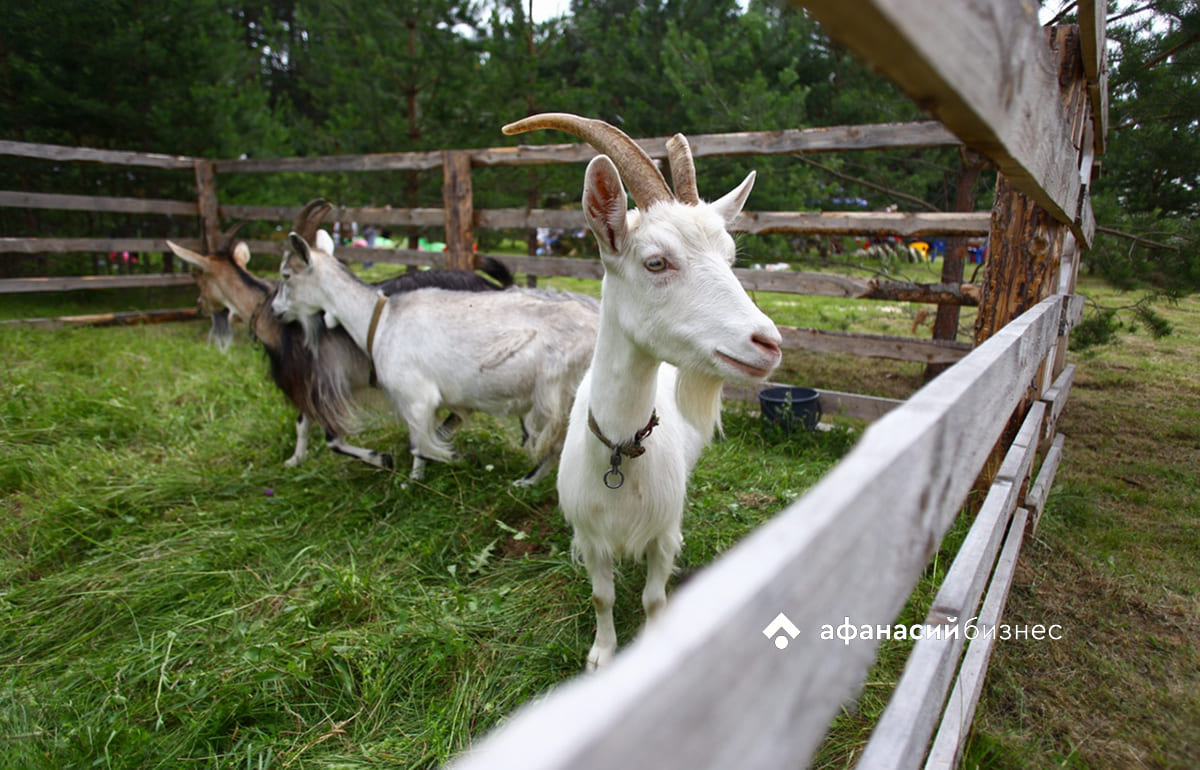 Ермолаев день. Погода в Твери сегодня расскажет про урожай, зиму и дожди Фото: Afanasy.biz