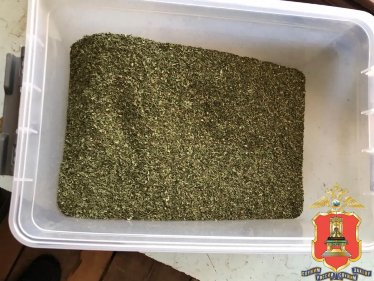 У жителя Тверской области нашли семь контейнеров с марихуаной Фото: УМВД Тверской области