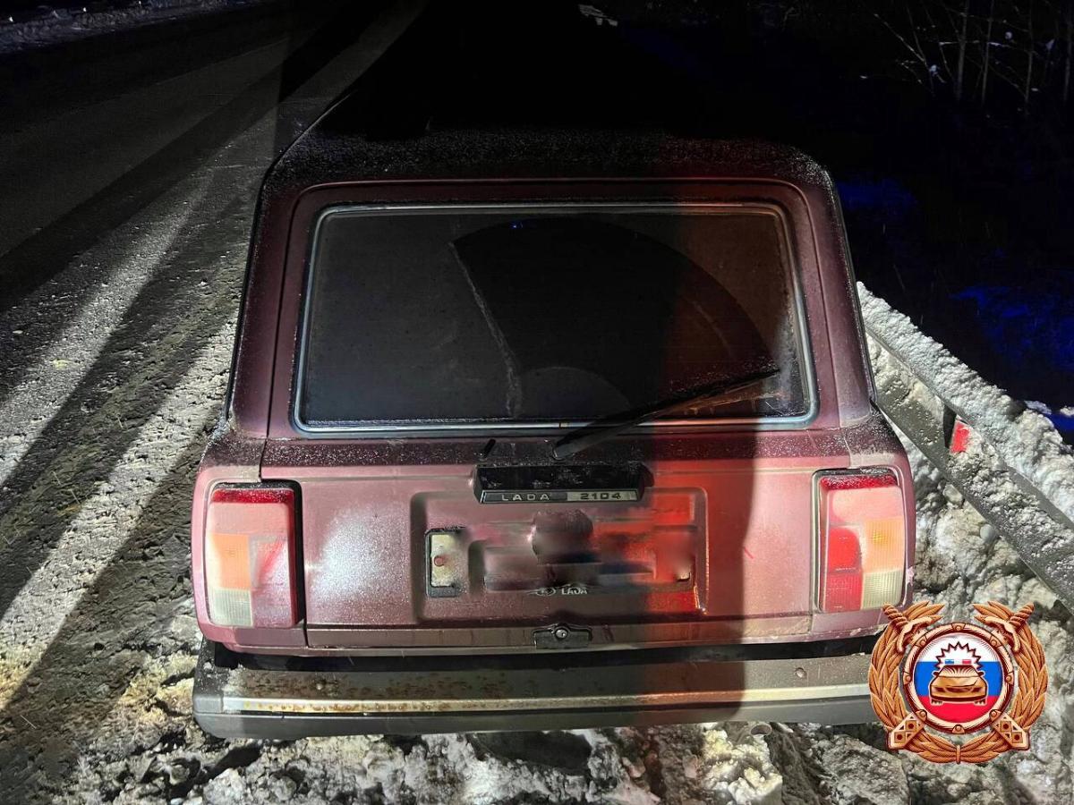 Два человека пострадали в ДТП с лосем в Тверской области Фото: ГАИ