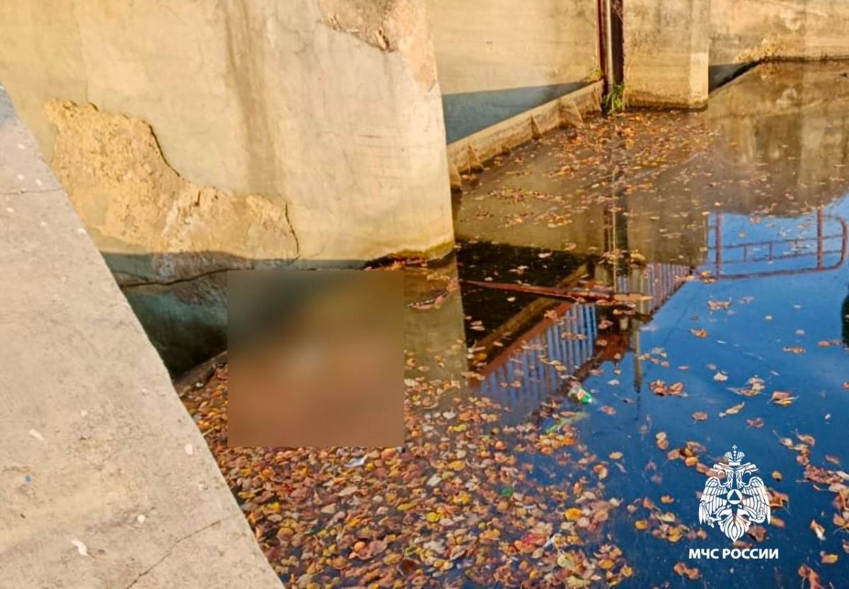 Из реки в Нелидово достали труп мужчины Фото: МЧС