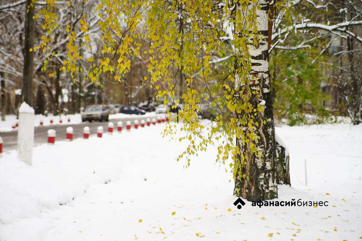 В Тверскую область еще вернется плюсовая температура Фото: Afanasy.biz