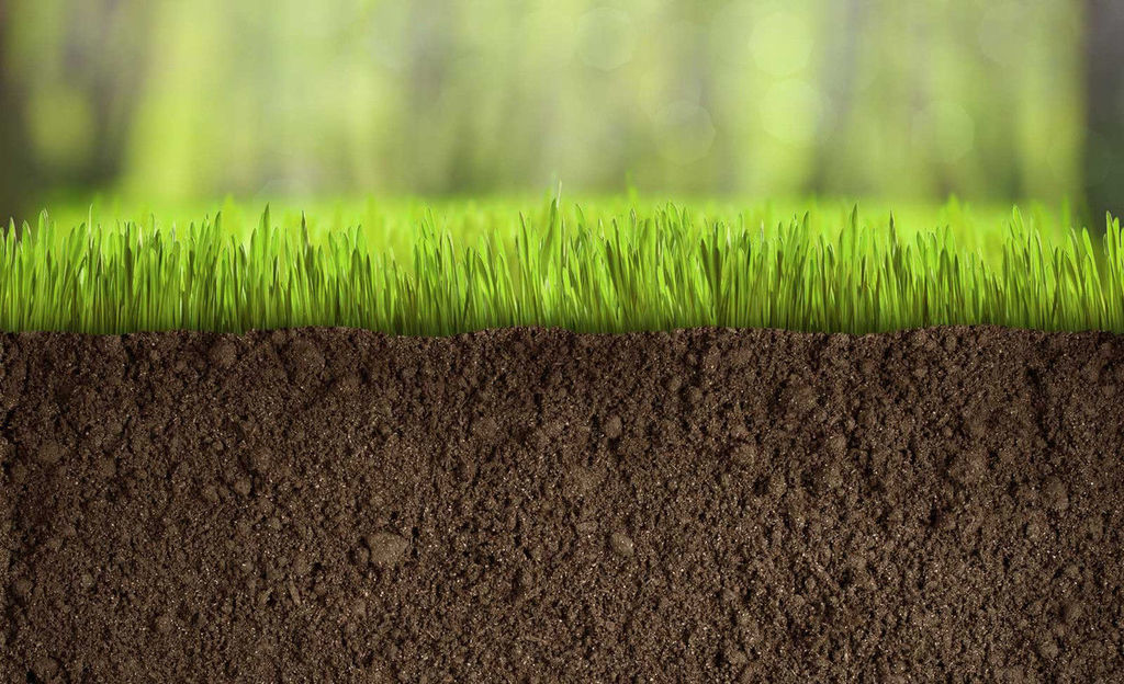 В Тверской области обсудили вопросы муниципального земельного контроля - новости Афанасий