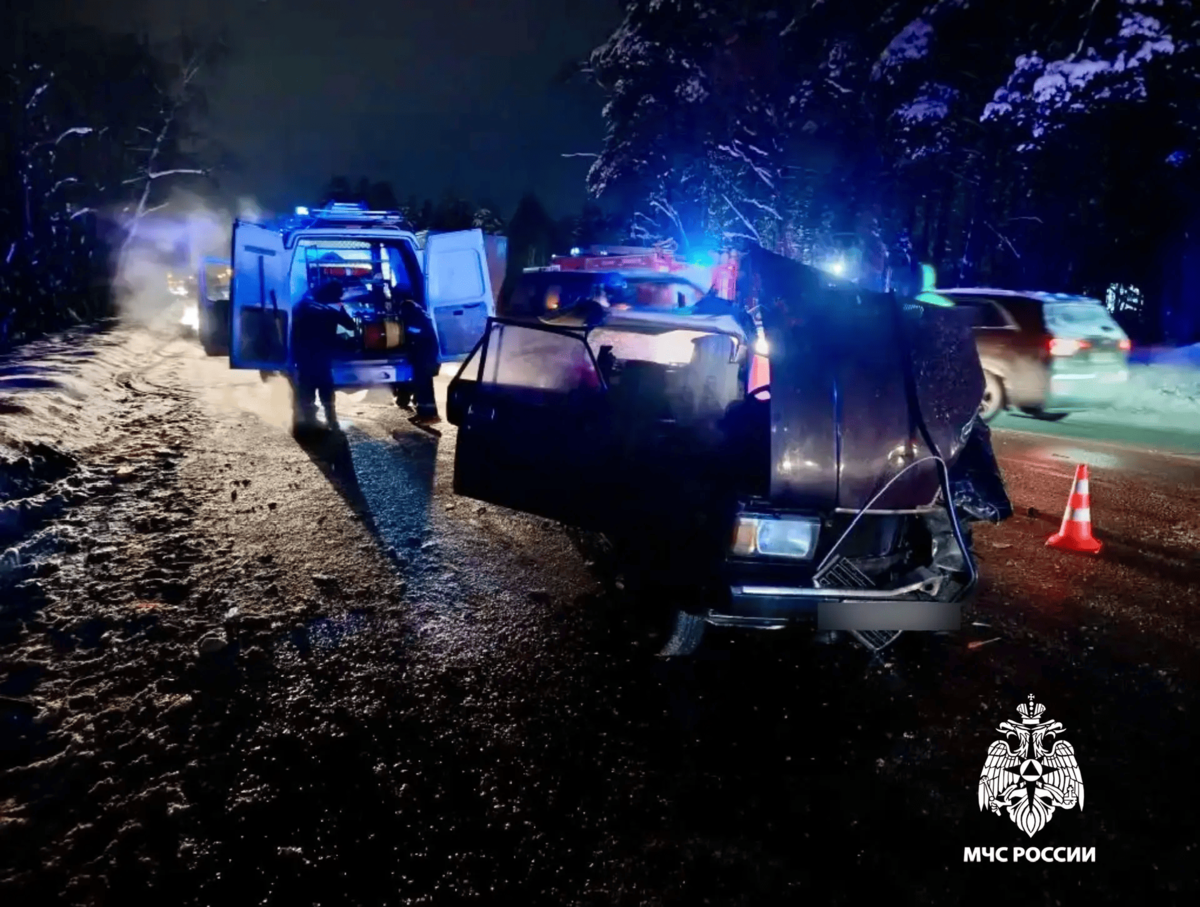 Два человека пострадали в ДТП с четырьмя авто на Петербургском шоссе в Твери Фото: ГУ МЧС России по Тверской области