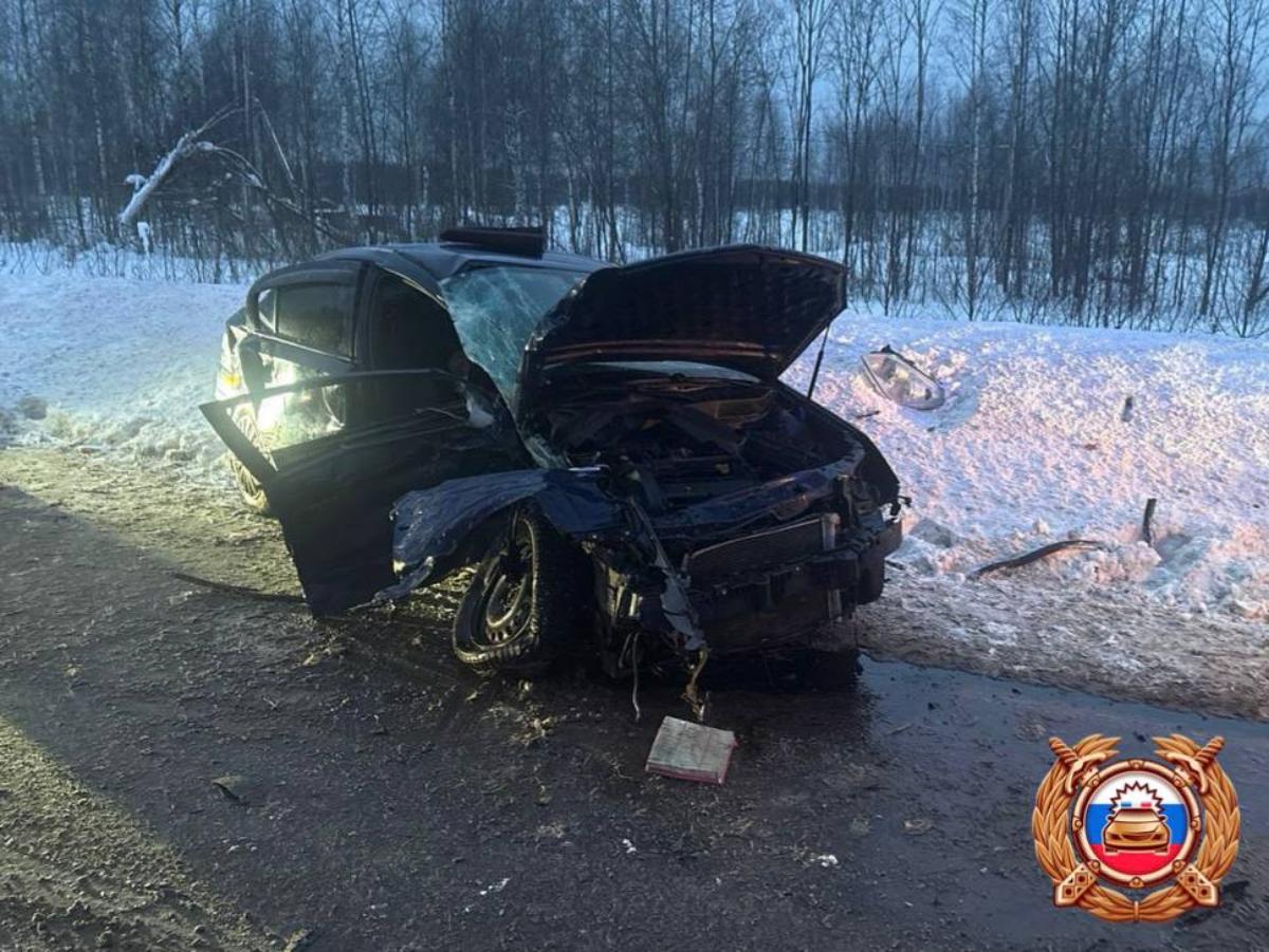 Среди пострадавших в ДТП под Кимрами — четырехлетний ребенок Фото: ГАИ
