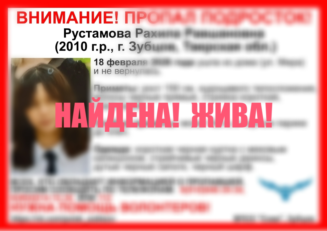 Пропавшую в Зубцове девочку нашли живой Фото: ВПСО Сова