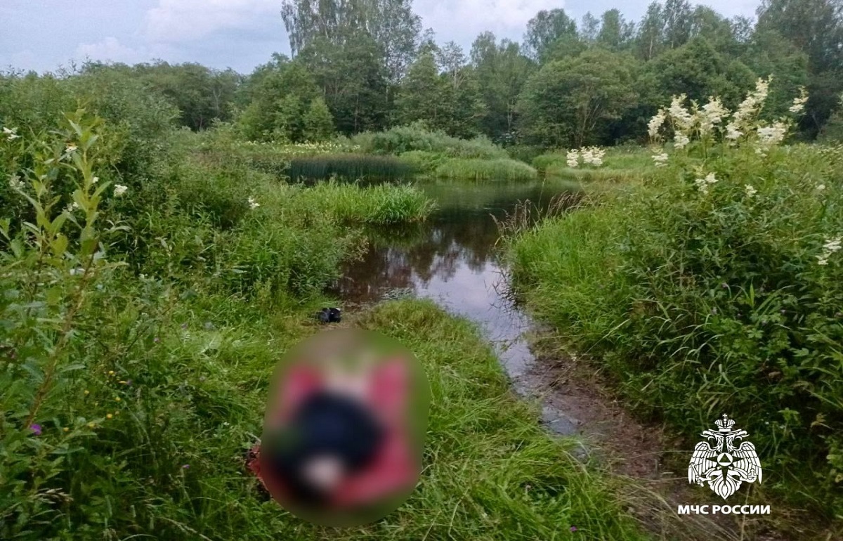 Из реки в Селижаровском районе достали тело девушки