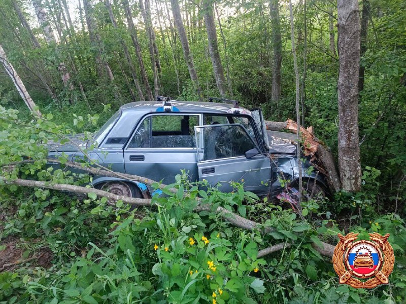 Под Кимрами ВАЗ вылетел с дороги в кювет и врезался в дерево Фото: ГАИ