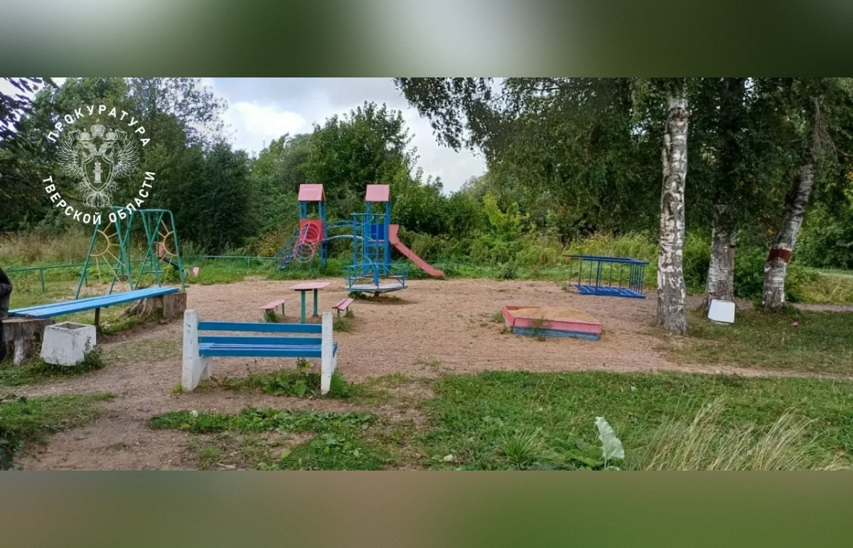 По факту травмирования ребенка в Сонково возбуждено уголовное дело Фото: Прокуратура Тверсакой области