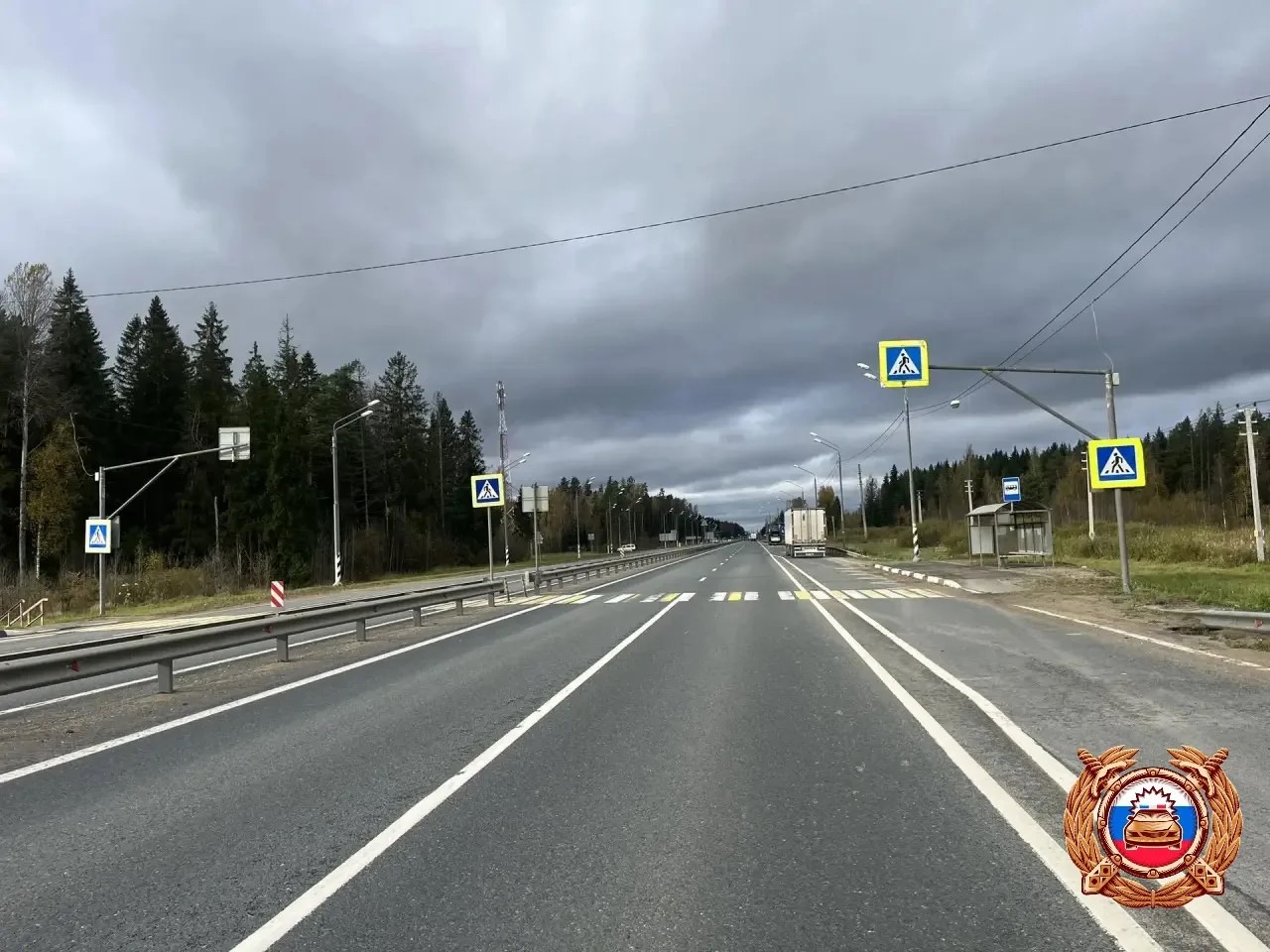 Женщину сбили на трассе М10 в Тверской области Фото: Управление Госавтоинспекции УМВД по Тверской области