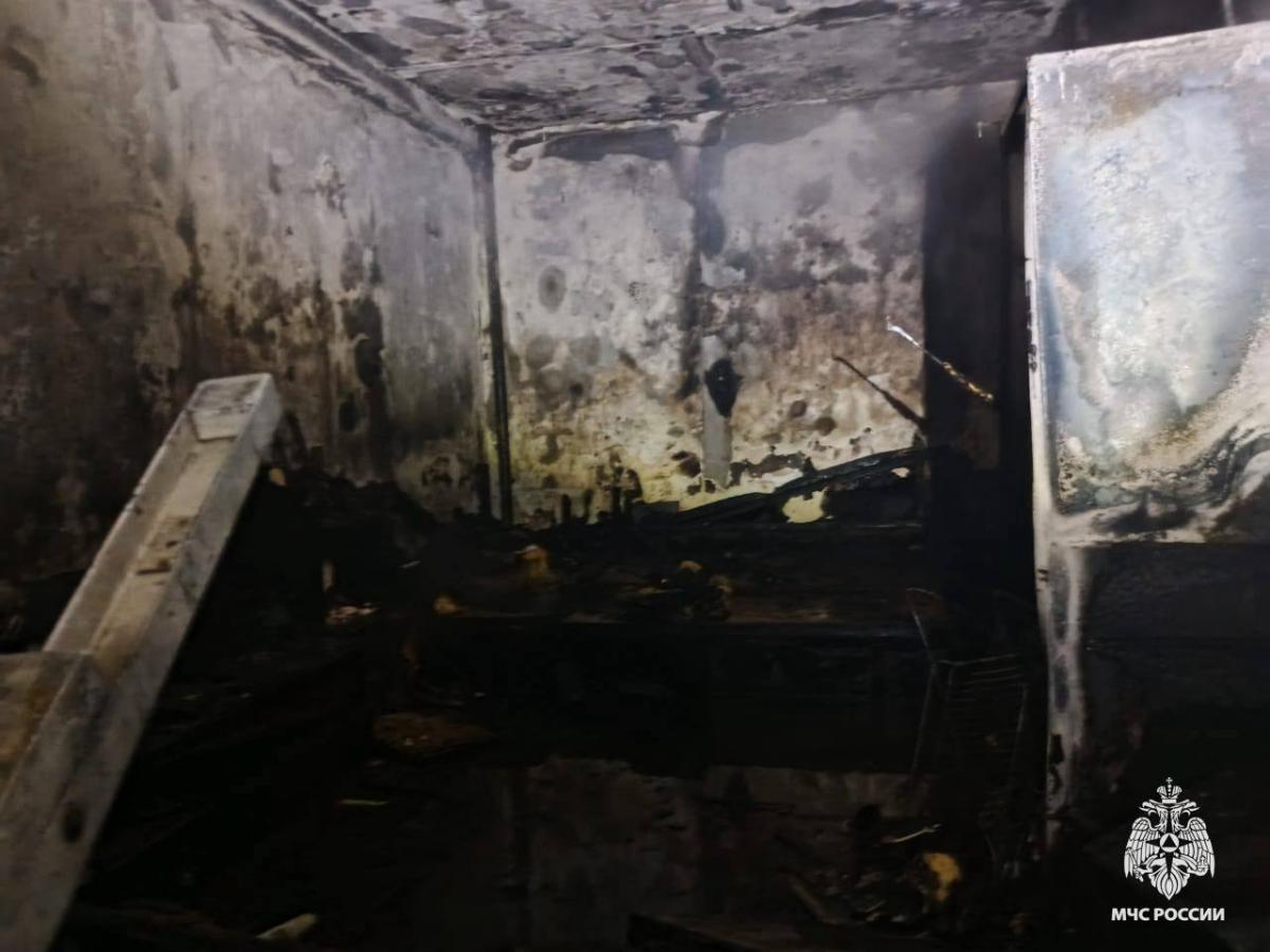 В поселке Эммаусс под Тверью сгорела квартира Фото: МЧС Тверской области