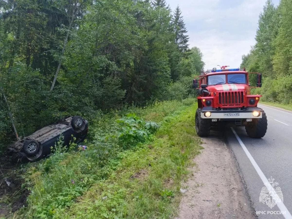 В Тверской области два автомобиля опрокинулись в кювет Фото: МЧС