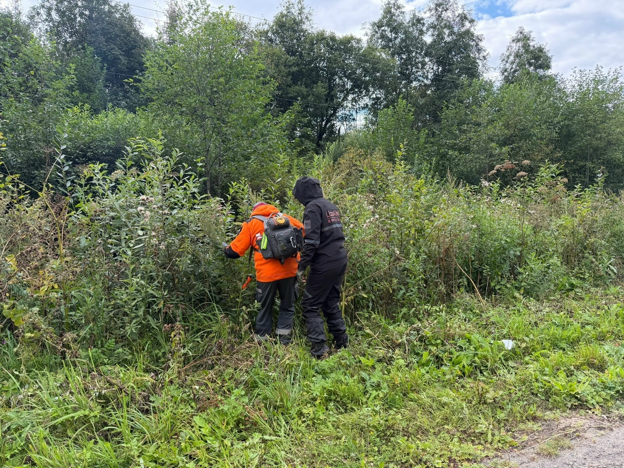 Пропавшего в Тверской области подростка продолжают искать Фото: Поисковый отряд "ЛизаАлерт" Тверской области