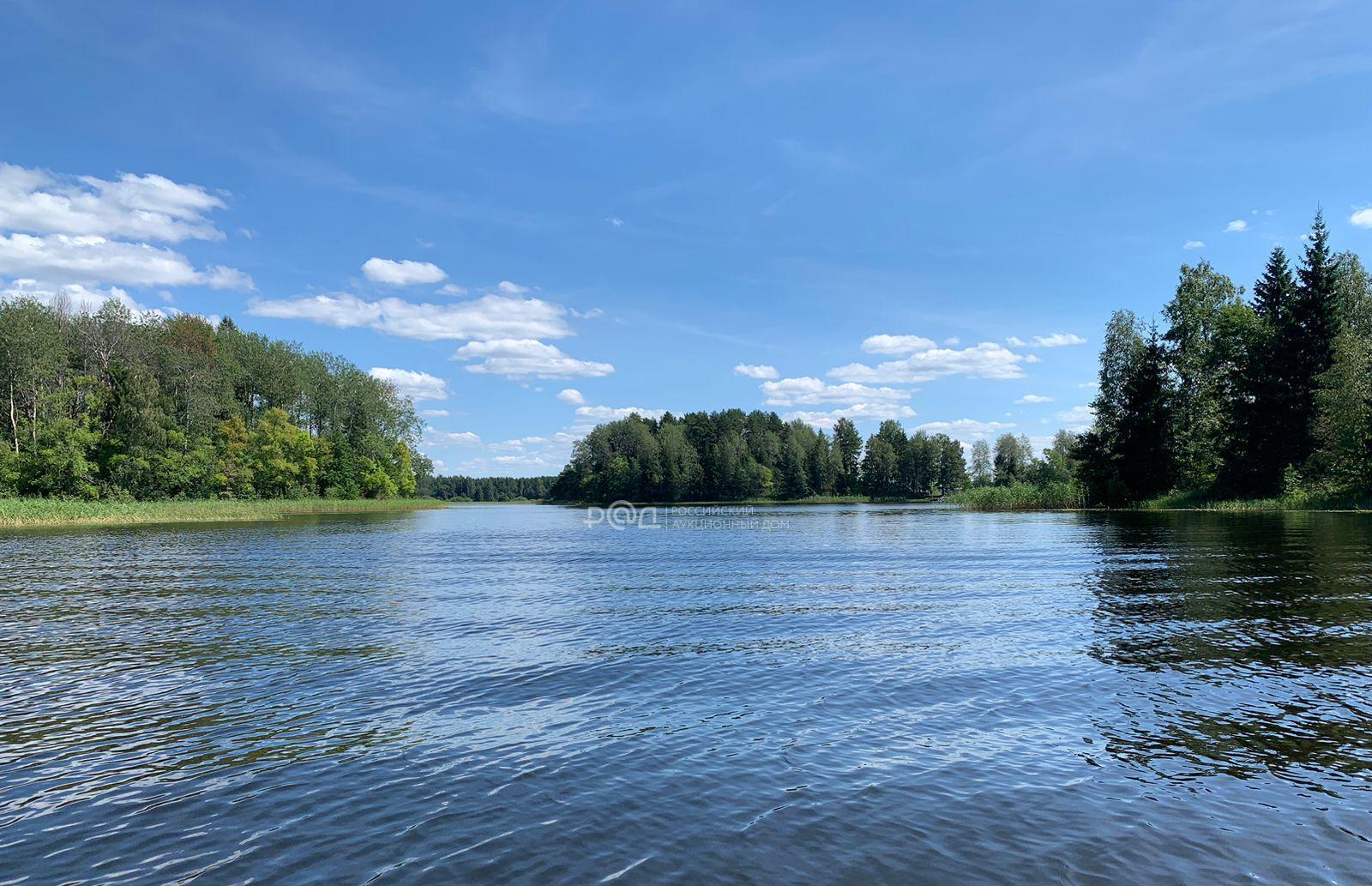 Базу отдыха на Селигере продают за 174 млн рублей - новости Афанасий