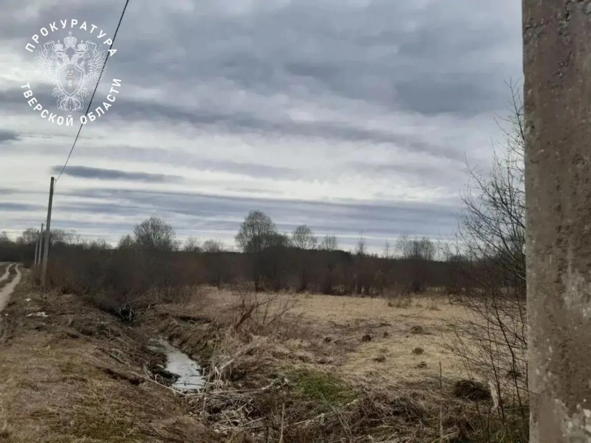 В Тверской области начались проверки по факту загрязнения рек Ведемья и Тверца Фото: прокуратура; 
Видео: соцмедиа