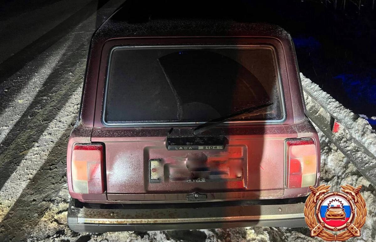 Два человека пострадали в ДТП с лосем в Тверской области - новости Афанасий