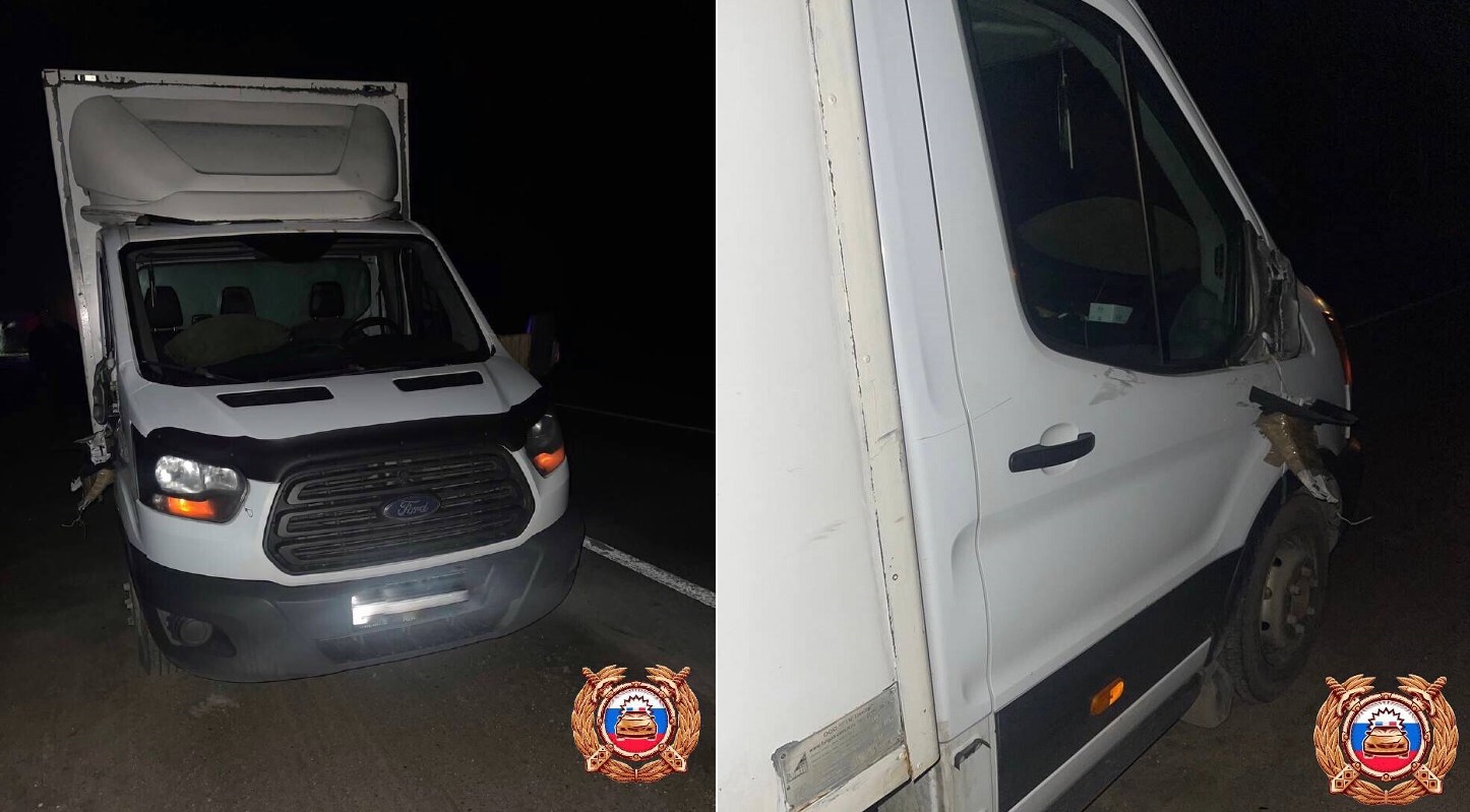 Пешеход погиб на трассе М10 в Вышневолоцком районе Фото: Управление Госавтоинспекции по Тверской области