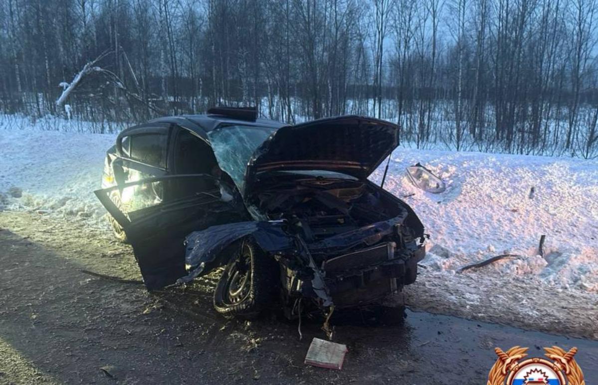 Среди пострадавших в ДТП под Кимрами — четырехлетний ребенок - новости Афанасий