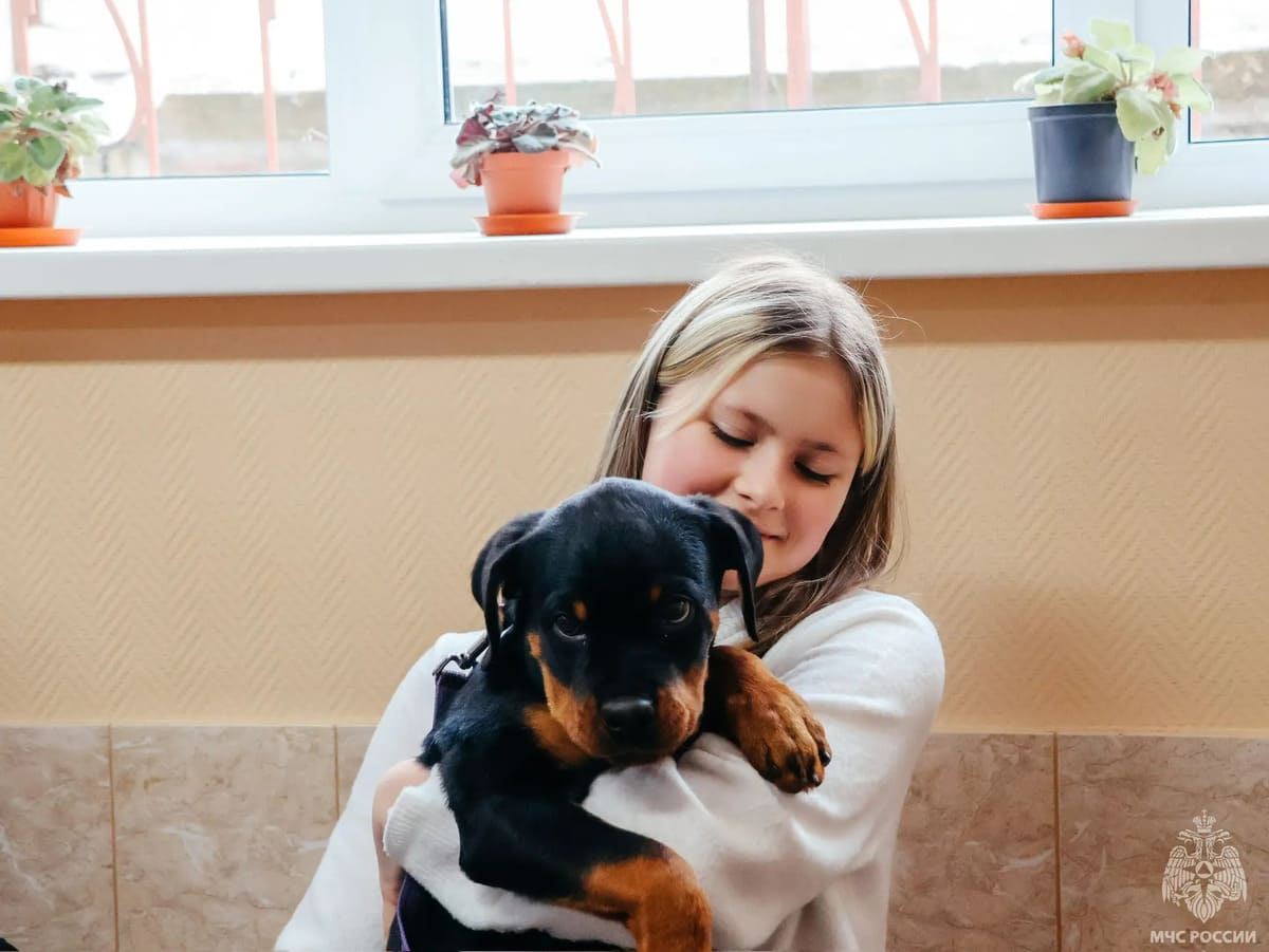 Сбылась заветная мечта пятнадцатилетней Валерии из города Ржева Тверской области Фото: ГУ МЧС России по Тверской области