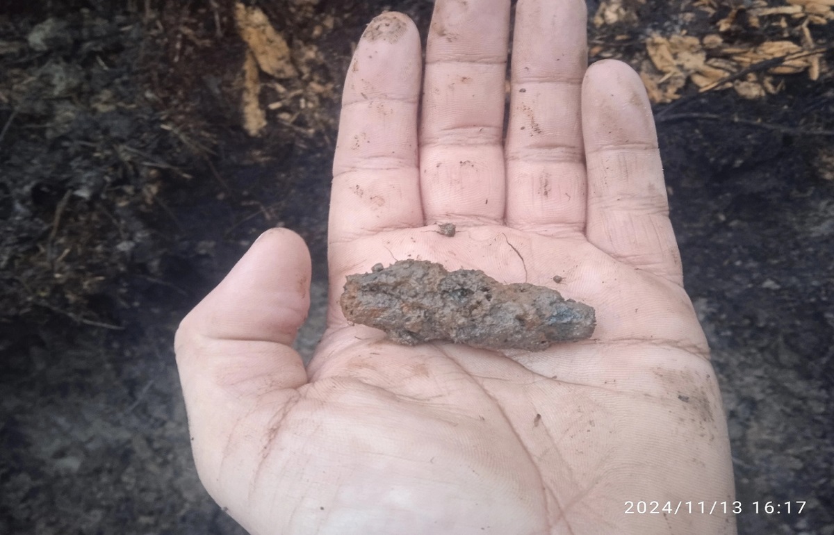 Останки второго бойца, погибшего в годы войны, удалось поднять в Западнодвинском районе Фото: Виктор Кочергин, ПО «Память» Останки второго бойца, погибшего в годы войны, удалось поднять в Западнодвинском районе Фото: Виктор Кочергин, ПО «Память»