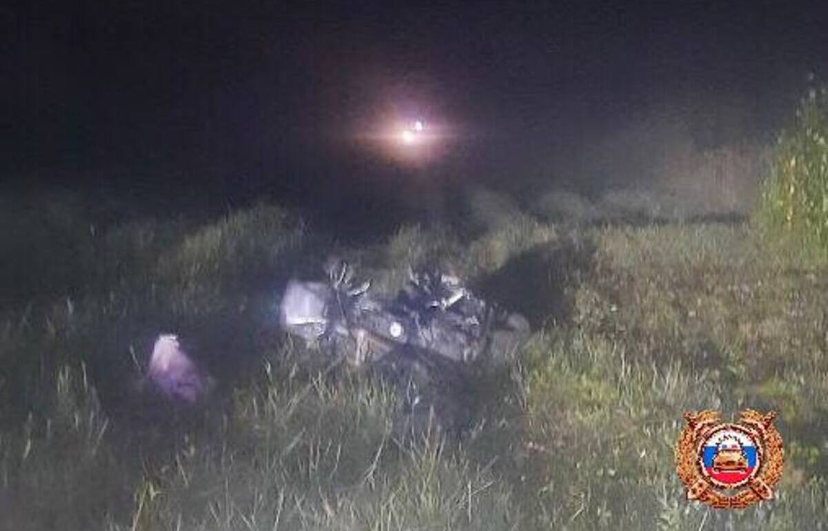 В ДТП на М9 в Тверской области после наезда на лося погиб водитель мотоцикла - новости Афанасий