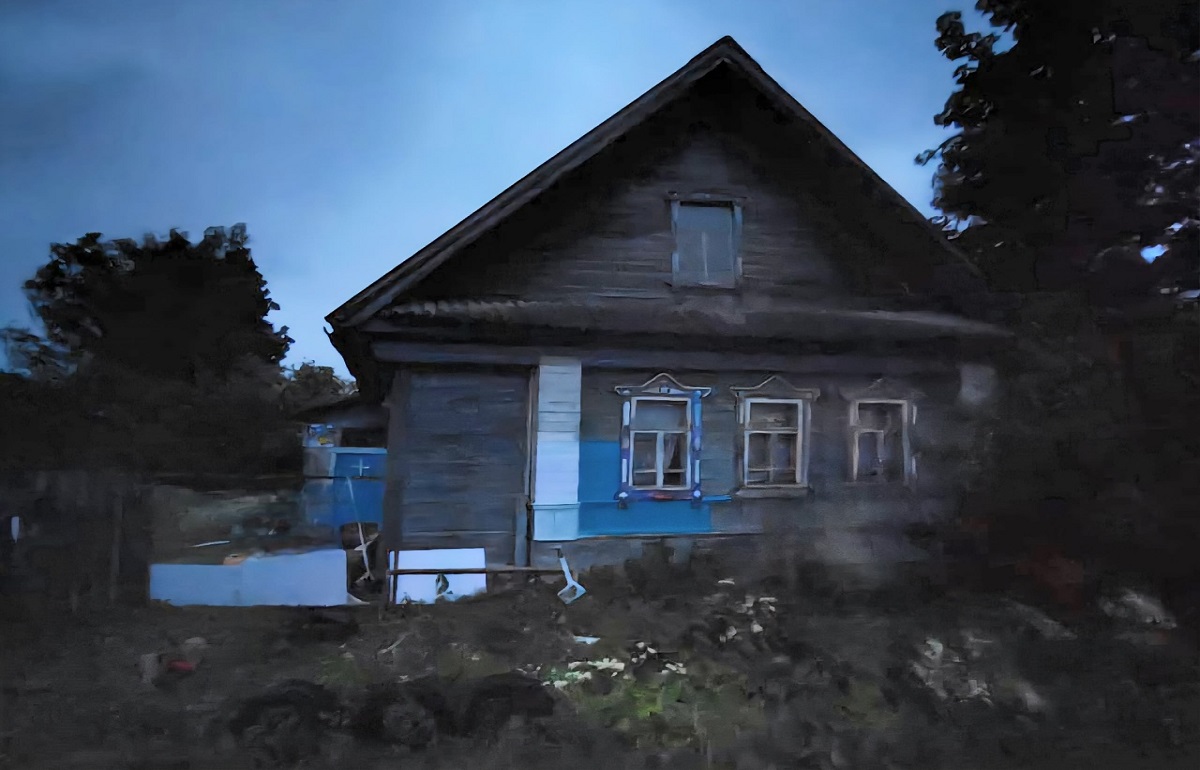 Нелегальный детский лагерь под Селижарово содержала жительница Санкт-Петербурга - новости Афанасий