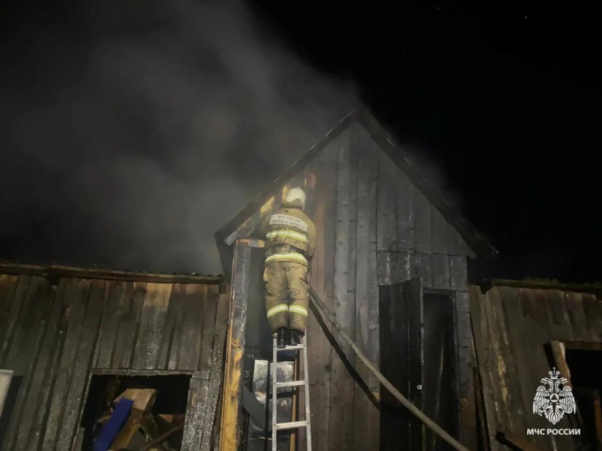 На пожаре в Краснохолмском округе пострадала женщина Фото: МЧС