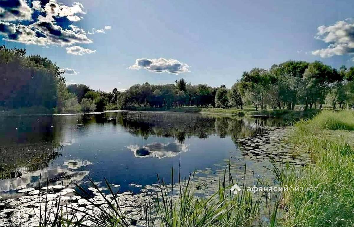 В Твери ввели режим повышенной готовности из-за загрязнения Тьмаки  - новости Афанасий