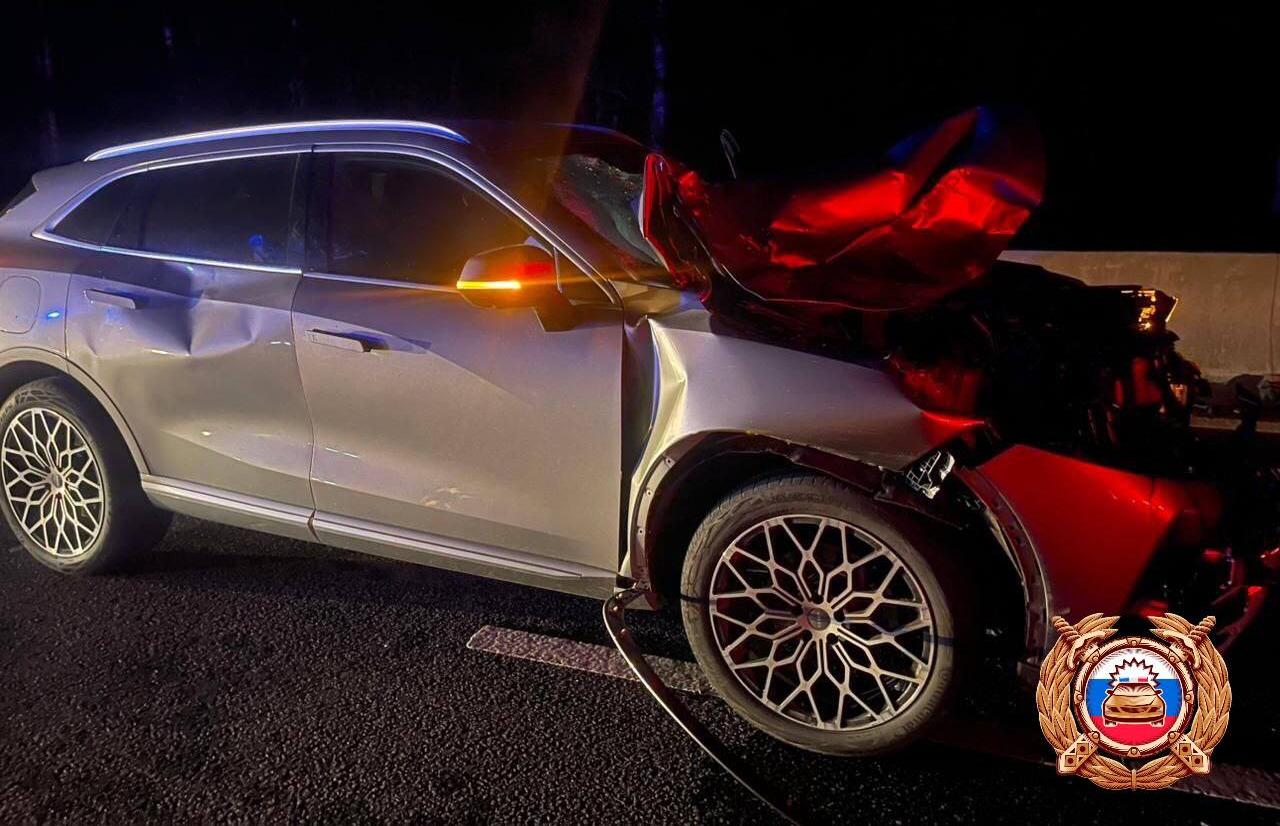 На М9 в Тверской области после ДТП с лосем водителя легковушки увезли в больницу - новости Афанасий