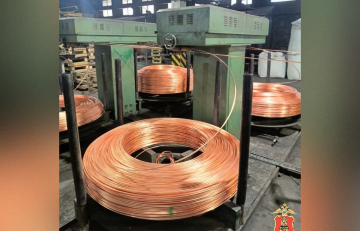 Предприниматель из Твери придумал, как не заплатить 48 миллионов налогов Фото: УМВД России по Тверской области