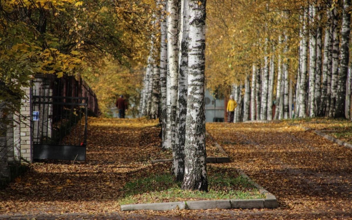 Сегодня погоду в Твери определяет антициклон Фото: архив редакции