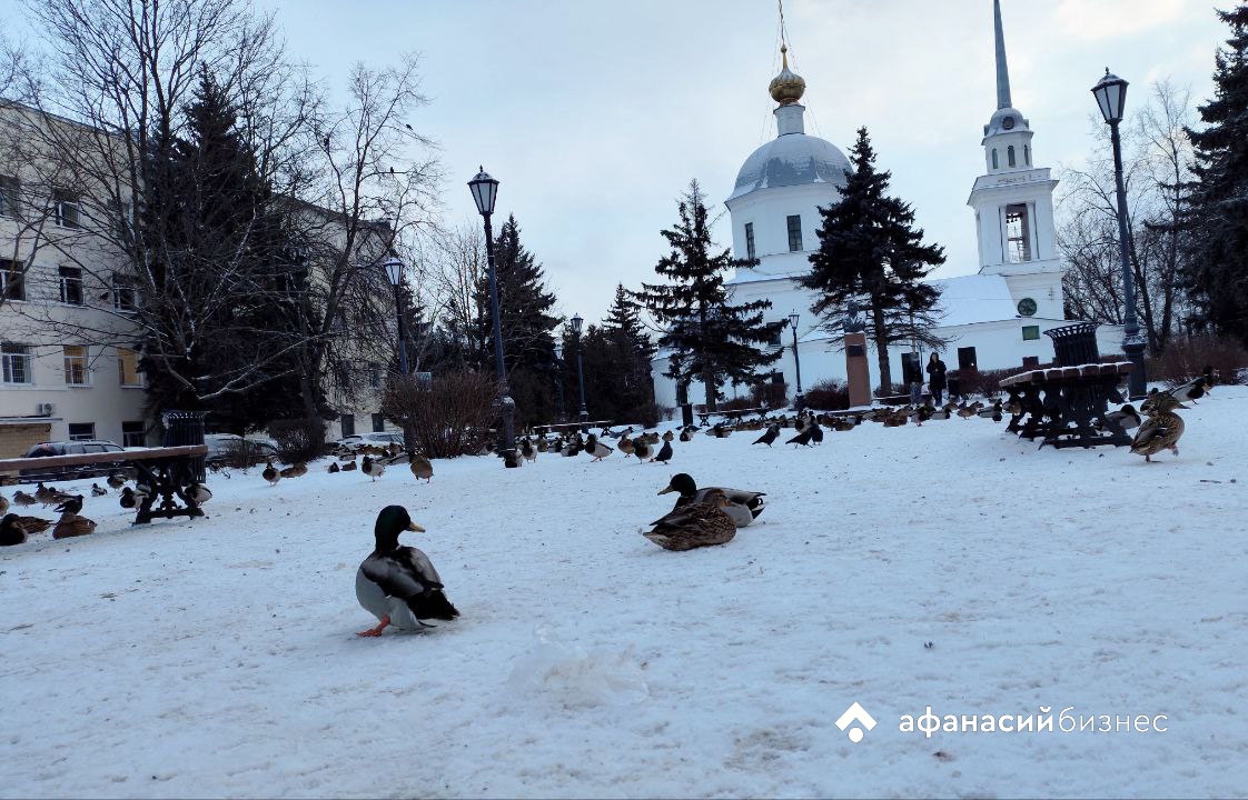 Татьянин день. Погода в Твери сегодня будет морозной
