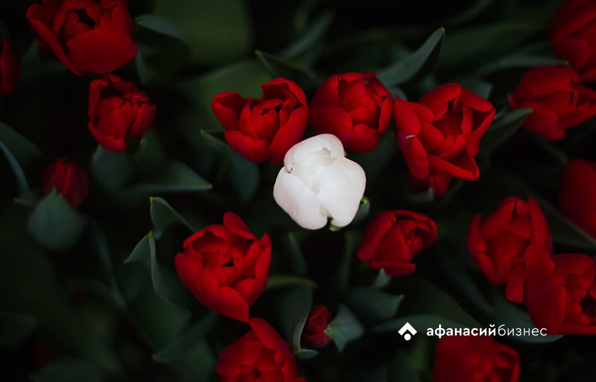 «Бал цветов»-2026 пройдет в Твери Фото: архив редакции