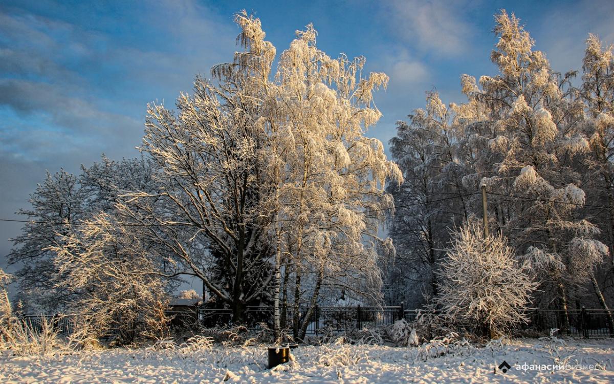 В Тверской области ночью температура опускалась ниже -23 градусов Фото: архив редакции
